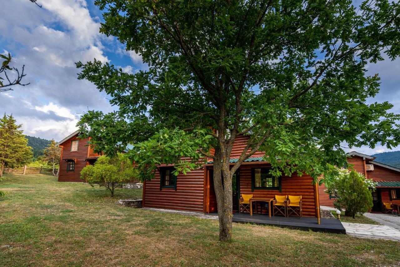 Chalet Likouresi Village Karpenísion Екстериор снимка
