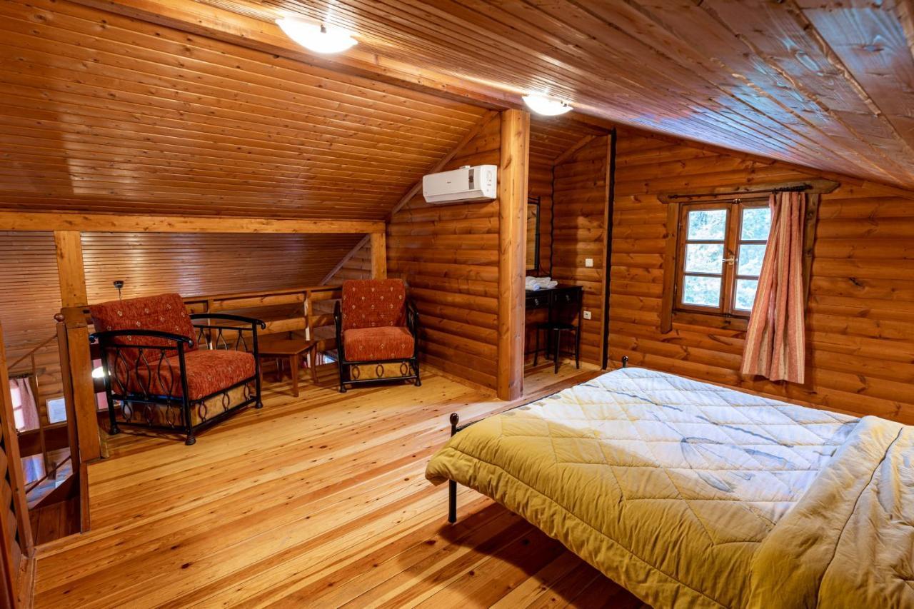 Chalet Likouresi Village Karpenísion Екстериор снимка